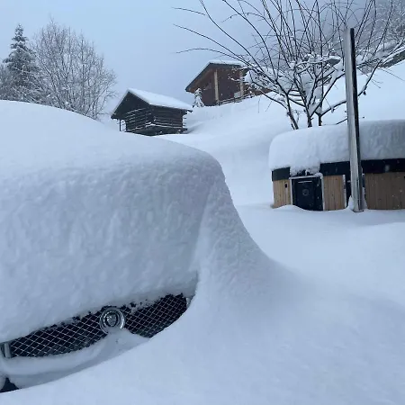 Mazot Agora - Pop-up Gallery Experience