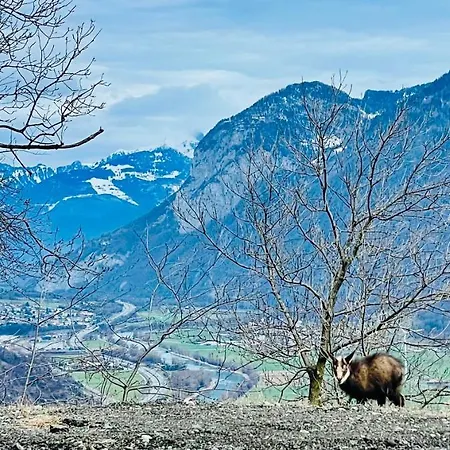 Gæstehus Mazot Agora - Pop-up Gallery Experience