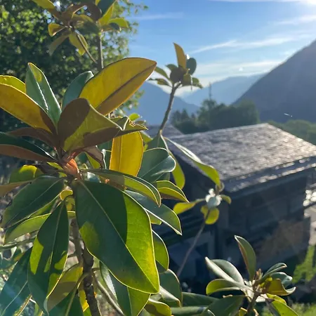 Mazot Agora - Pop-up Gallery Experience Gæstehus 3*