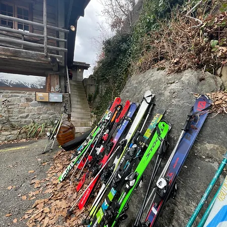 Mazot Agora - Pop-up Gallery Experience 3*