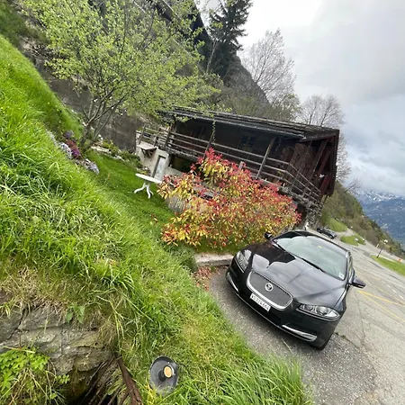 Mazot Agora - Pop-up Gallery Experience Gæstehus 3*