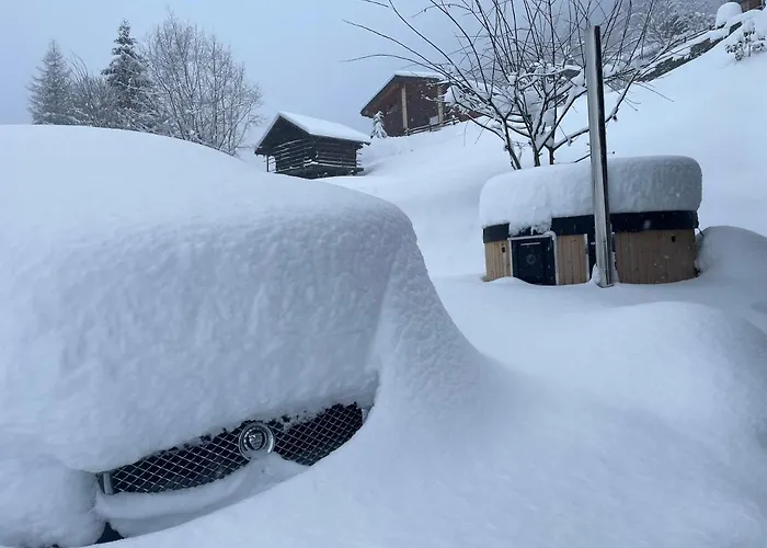 Mazot Agora - Pop-up Gallery Experience