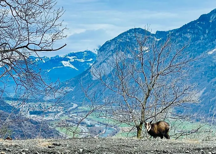 Pensjonat Mazot Agora - Pop-up Gallery Experience