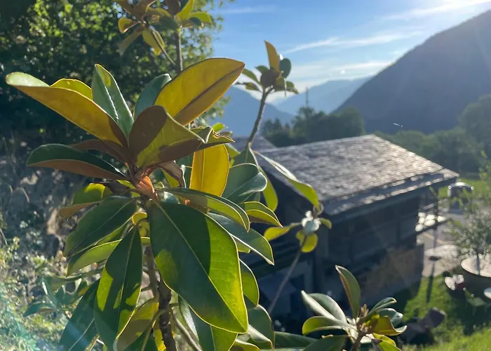 Mazot Agora - Pop-up Gallery Experience Pensjonat 3*